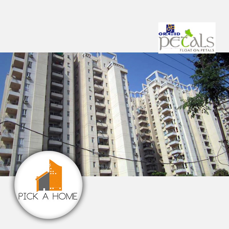 ORCHID PETALS gallery large images