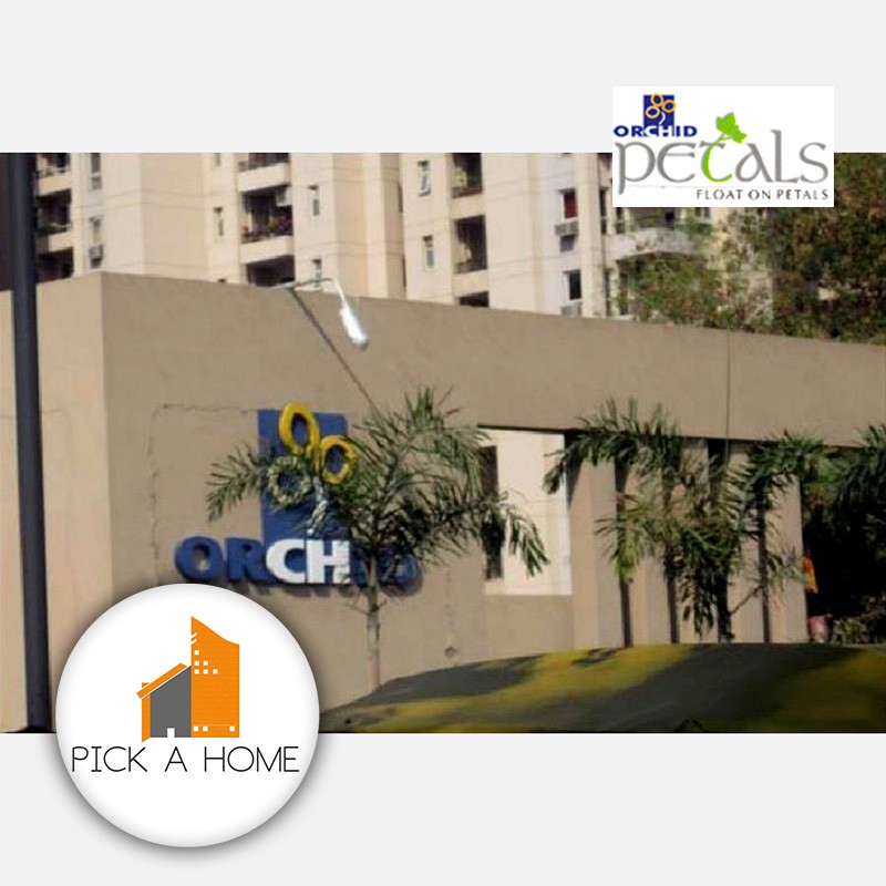 ORCHID PETALS gallery large images