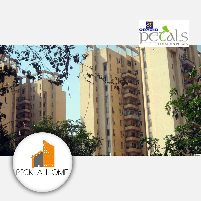 ORCHID PETALS gallery large images