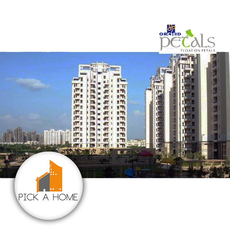 ORCHID PETALS gallery large images