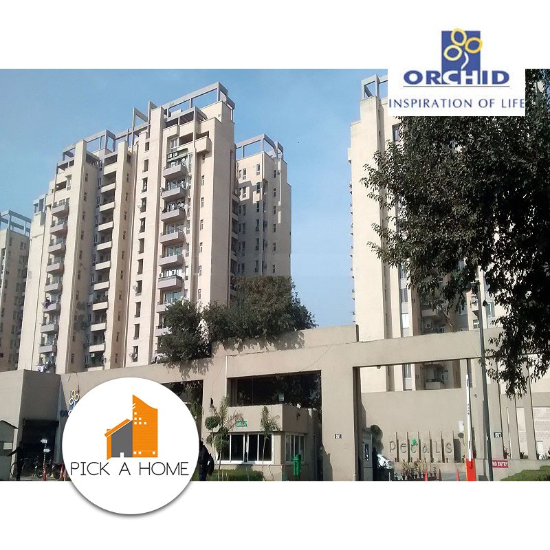 ORCHID PETALS gallery large images