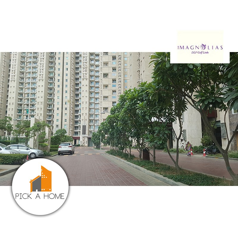 DLF Magnolias Gurgaon Buy / Sell / Rent
