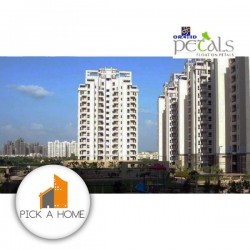 ORCHID PETALS   gallery