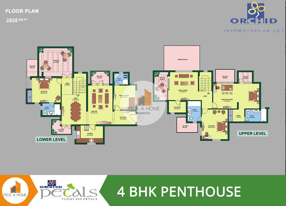 4 BHK Penthouse  (2858 sqFT) apartments for sale/rent in Orchid Infrastructure Developers Pvt. Ltd ORCHID PETALS, Sector 49
